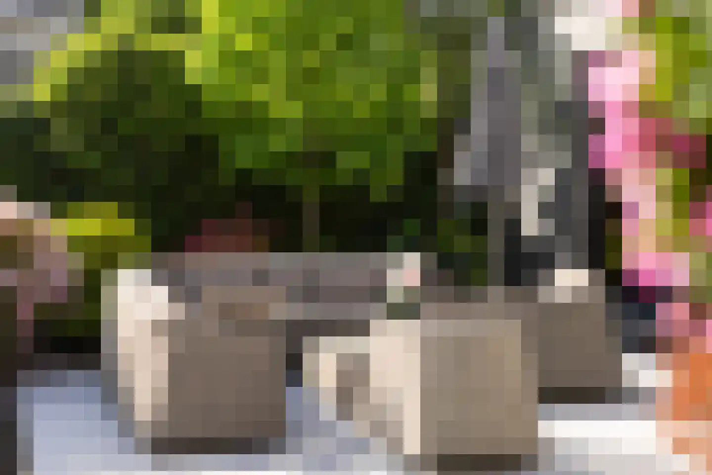 Baanderheer 12 Maasland thumbnail 26