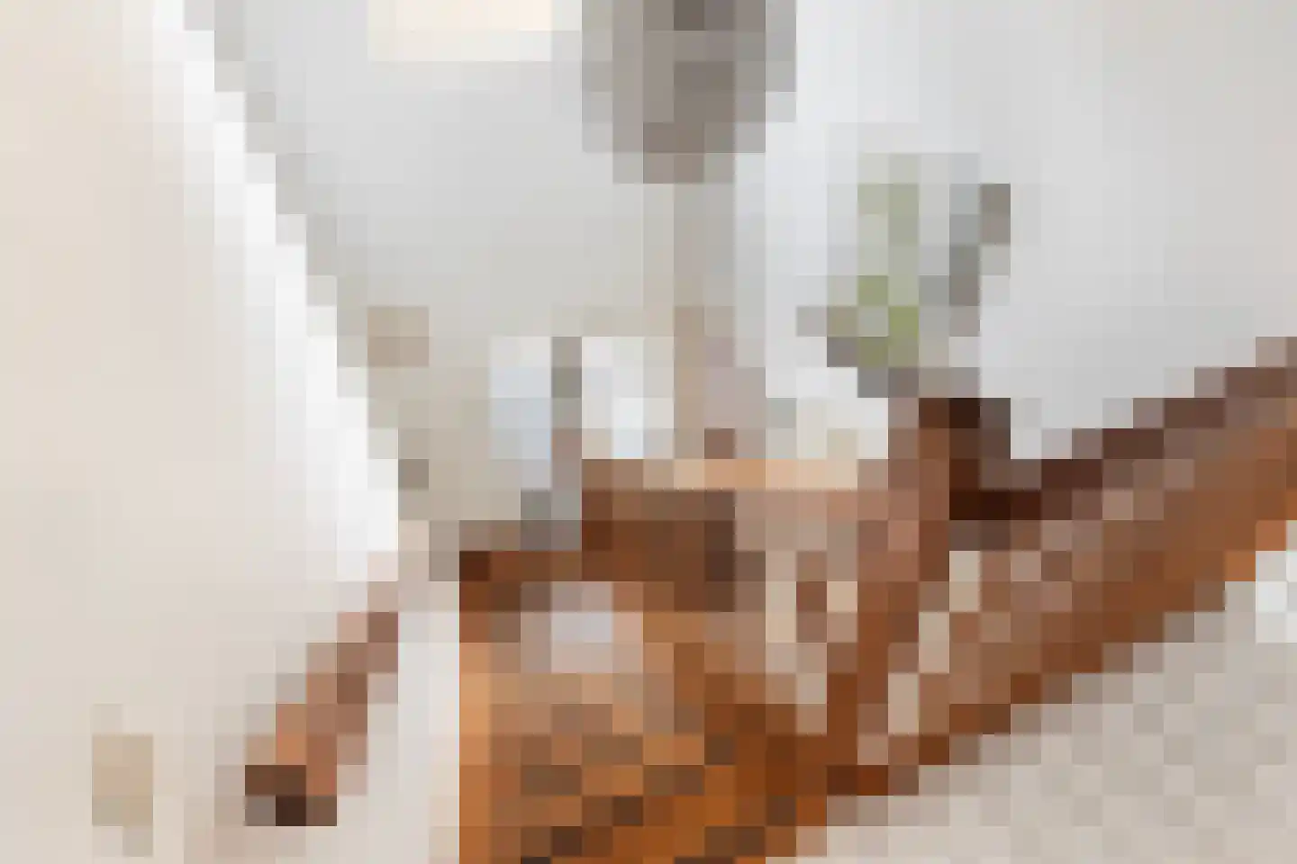 Baanderheer 12 Maasland thumbnail 28