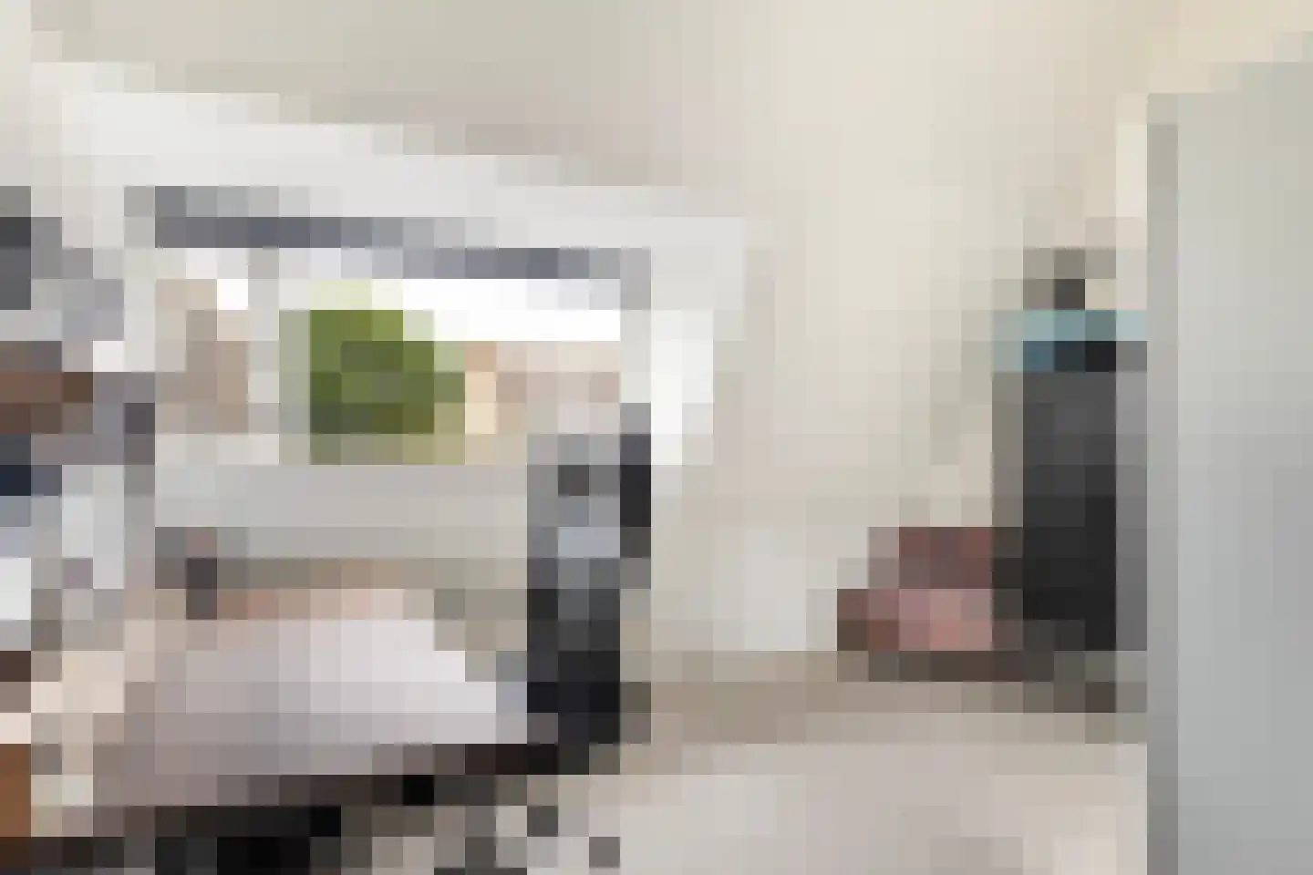 Baanderheer 12 Maasland thumbnail 30