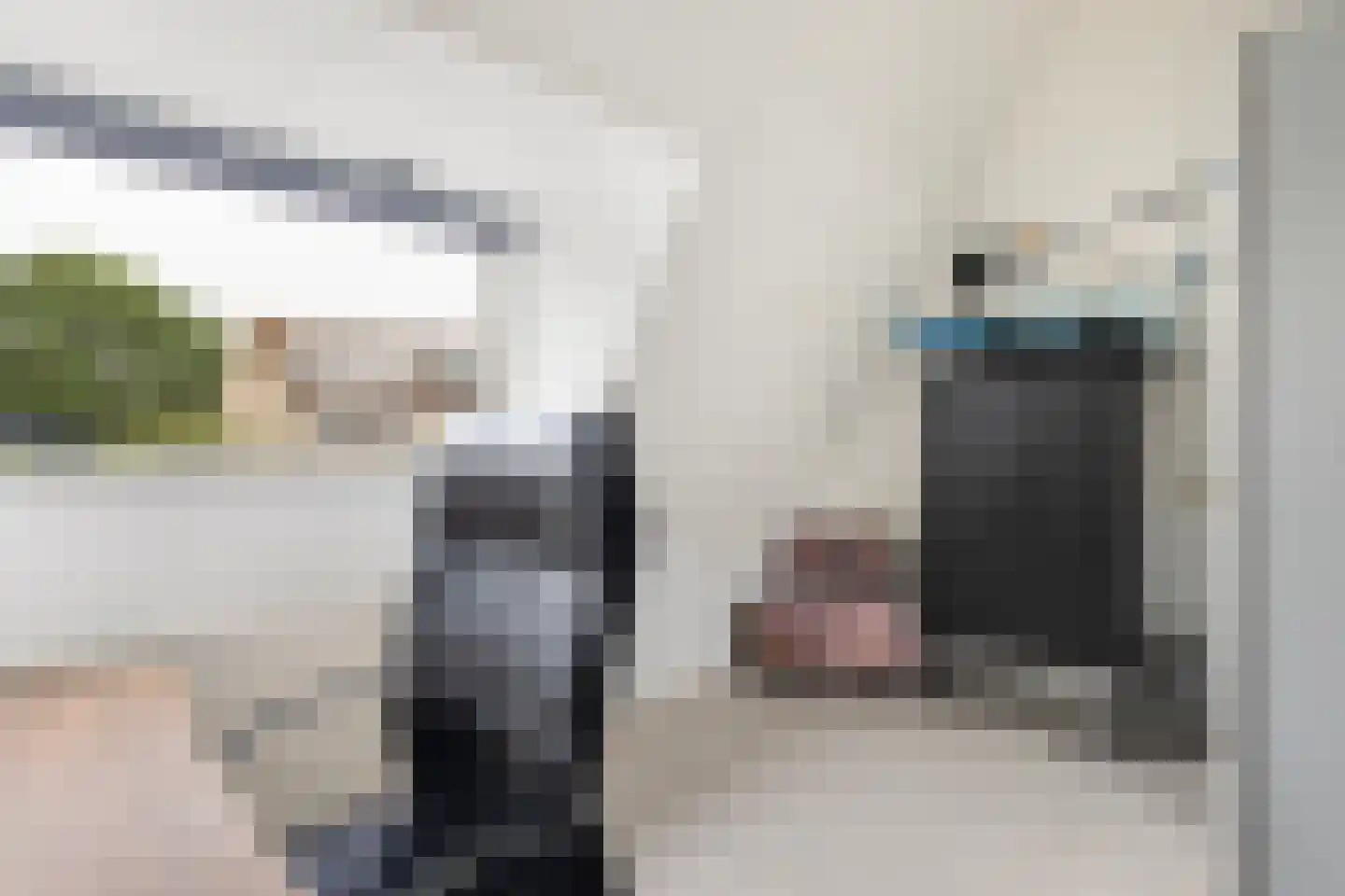 Baanderheer 12 Maasland thumbnail 31