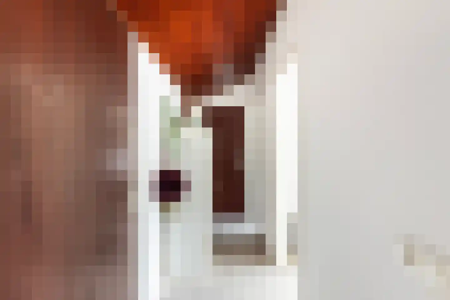 Baanderheer 12 Maasland thumbnail 34