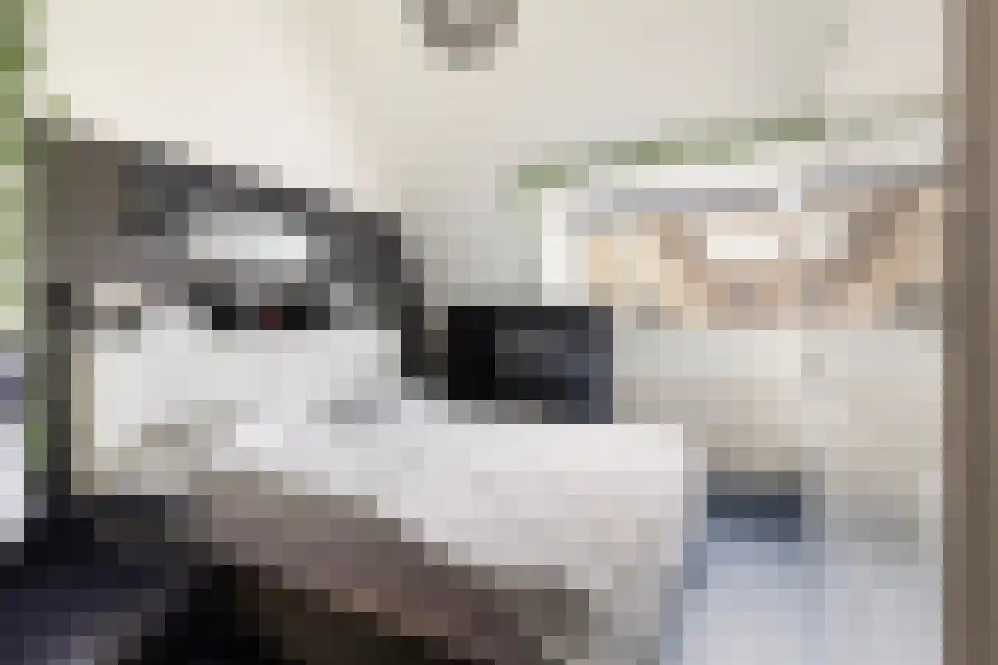 Baanderheer 12 Maasland thumbnail 35