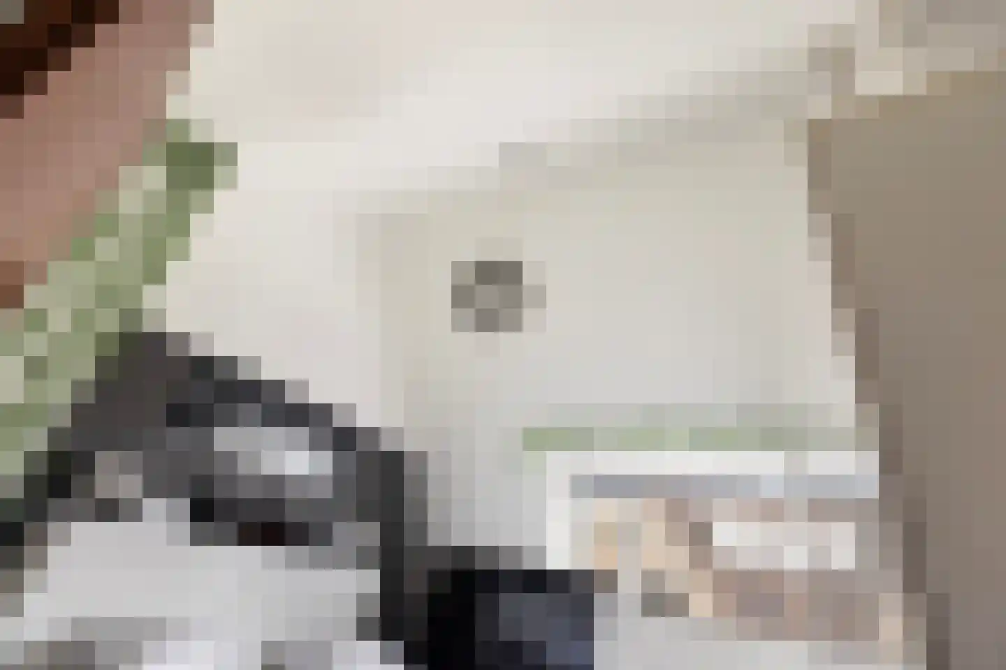 Baanderheer 12 Maasland thumbnail 36