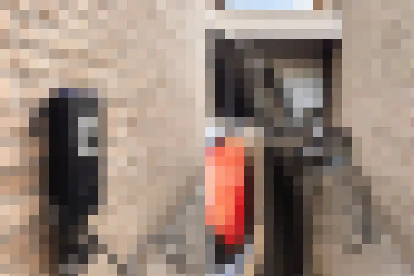 Baanderheer 12 Maasland thumbnail 42