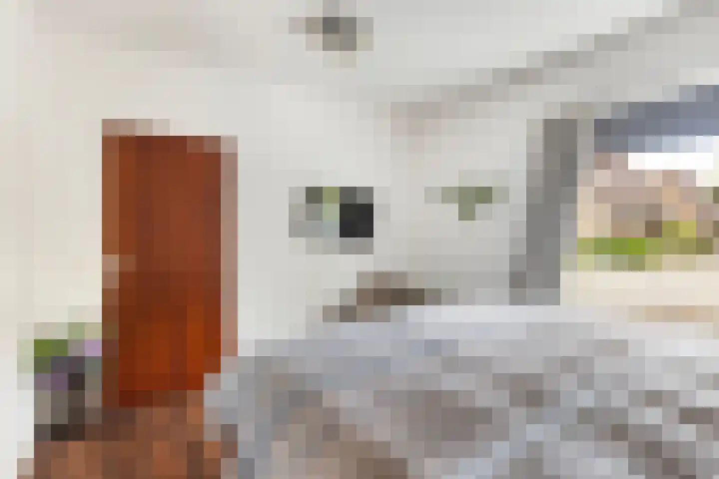 Baanderheer 12 Maasland thumbnail 8