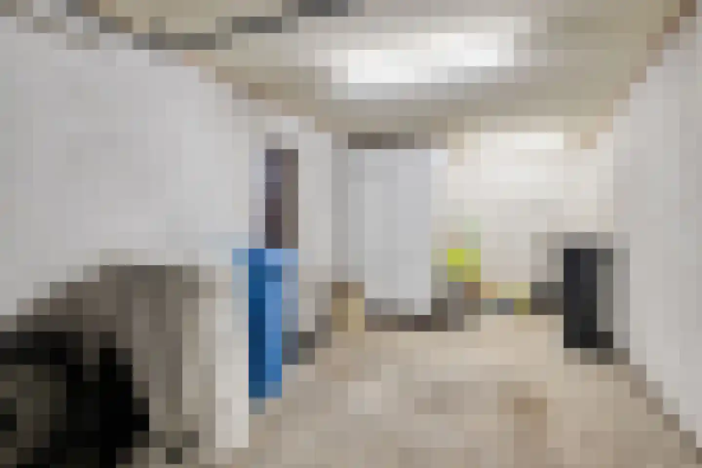 Baanderheer 8 Maasland thumbnail 14