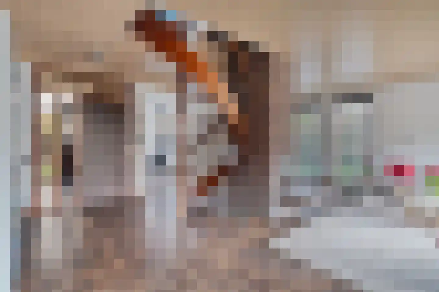 Baanderheer 8 Maasland thumbnail 17