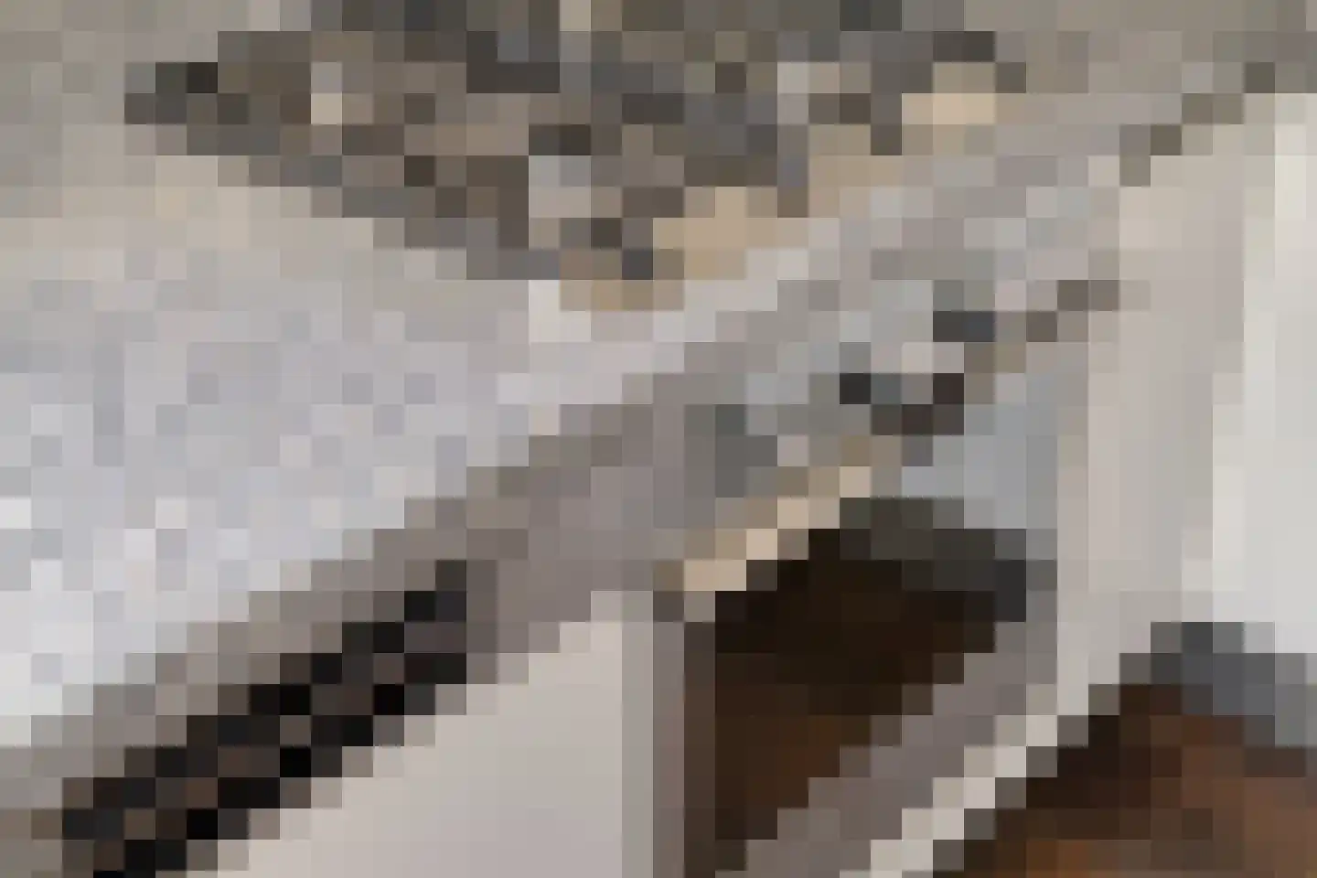 Baanderheer 8 Maasland thumbnail 23