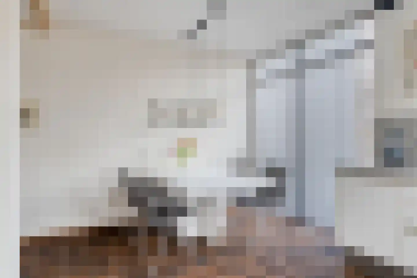 Baanderheer 8 Maasland thumbnail 25