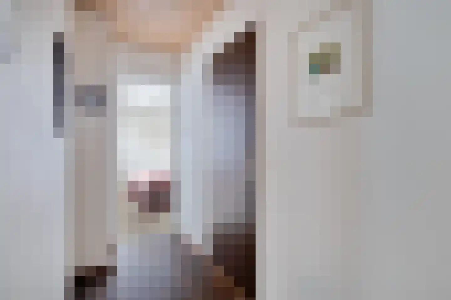 Baanderheer 8 Maasland thumbnail 26