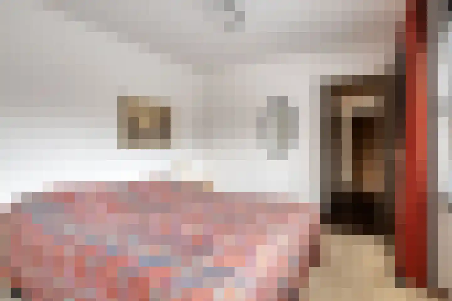 Baanderheer 8 Maasland thumbnail 28