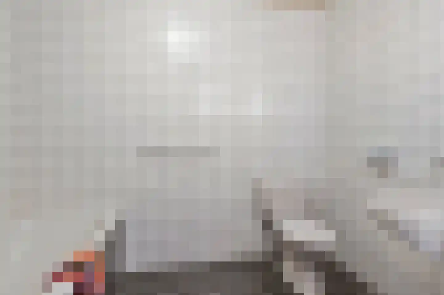 Baanderheer 8 Maasland thumbnail 30