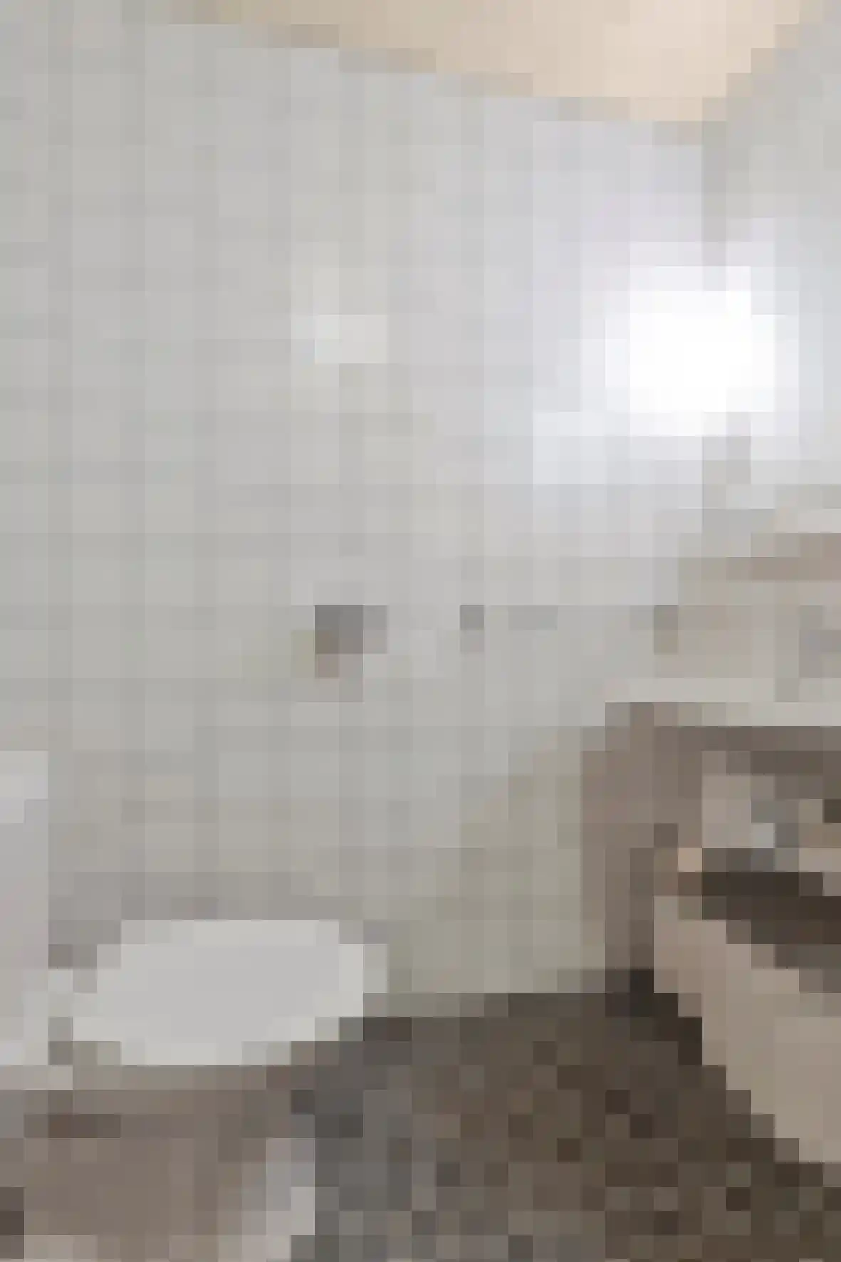 Baanderheer 8 Maasland thumbnail 31