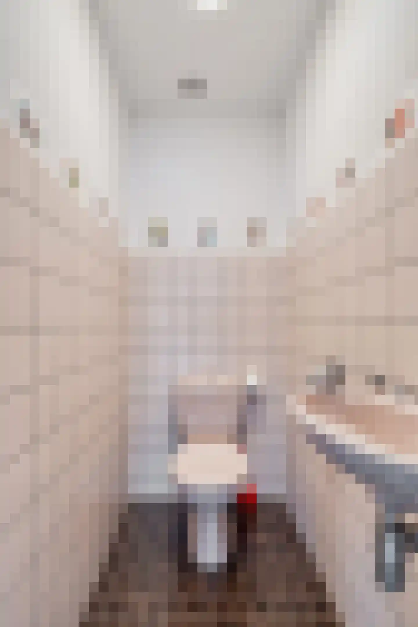 Baanderheer 8 Maasland thumbnail 32
