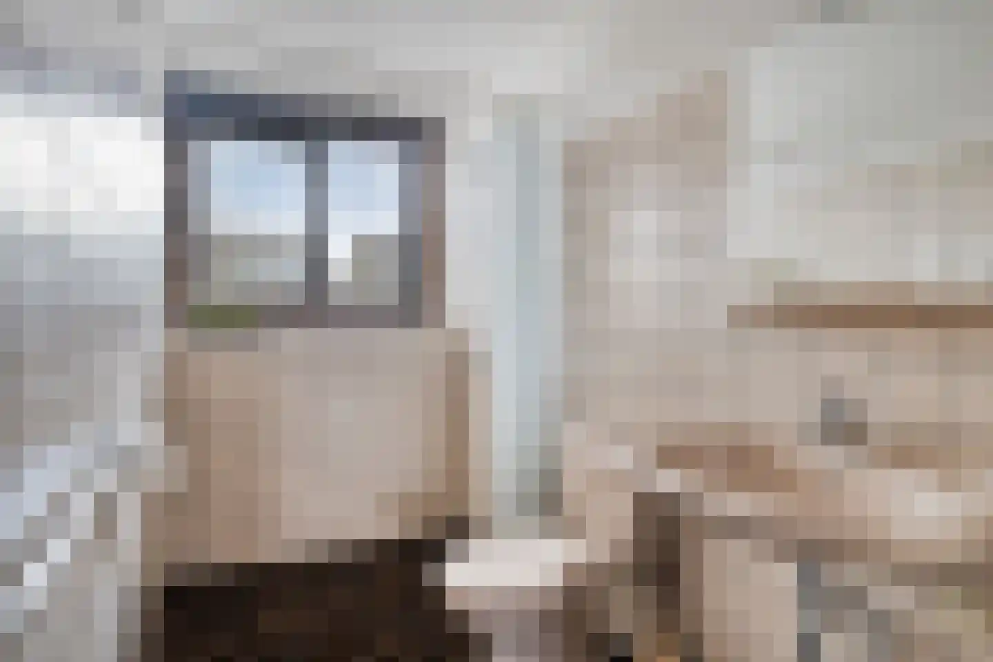Baanderheer 8 Maasland thumbnail 4