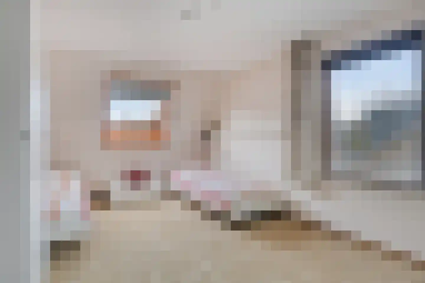 Baanderheer 8 Maasland thumbnail 40