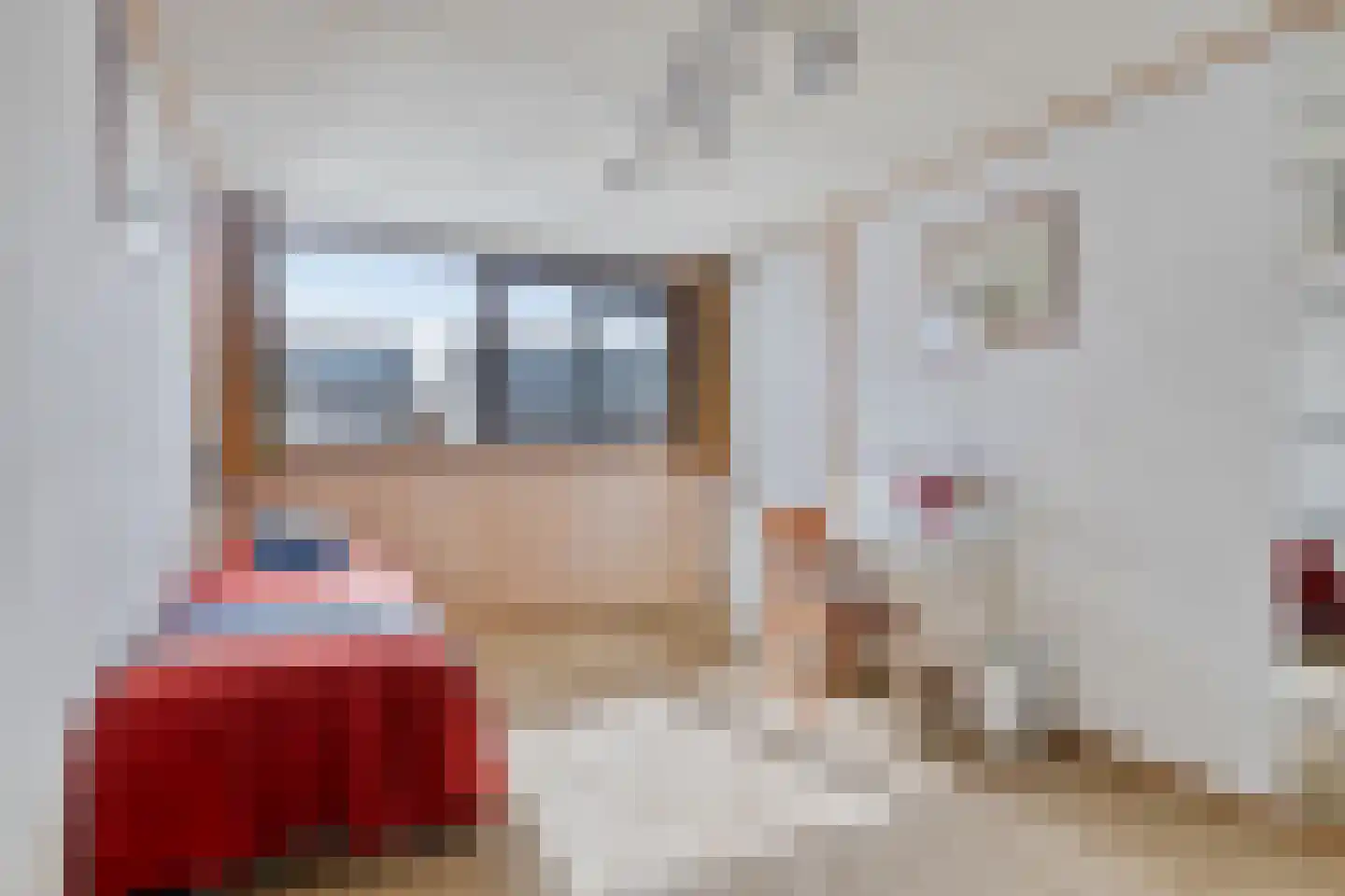 Baanderheer 8 Maasland thumbnail 43
