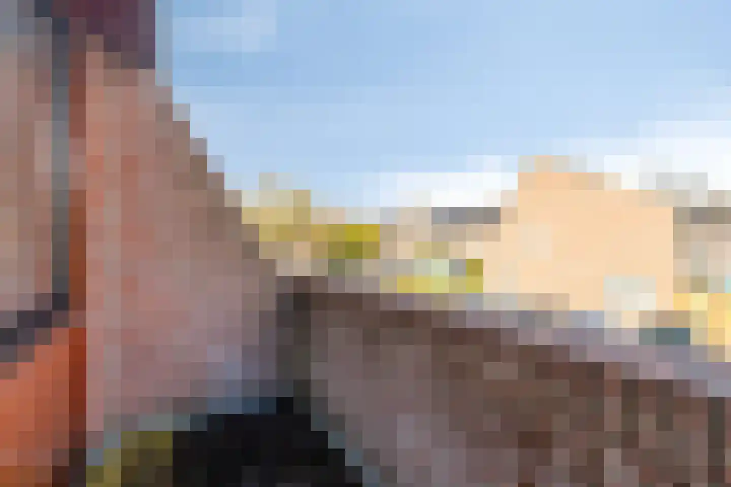 Baanderheer 8 Maasland thumbnail 46