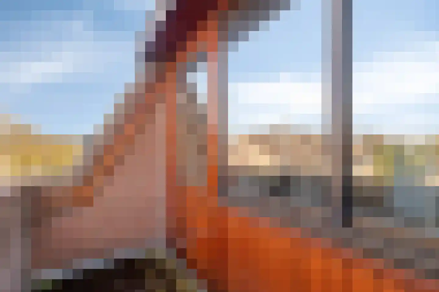 Baanderheer 8 Maasland thumbnail 48