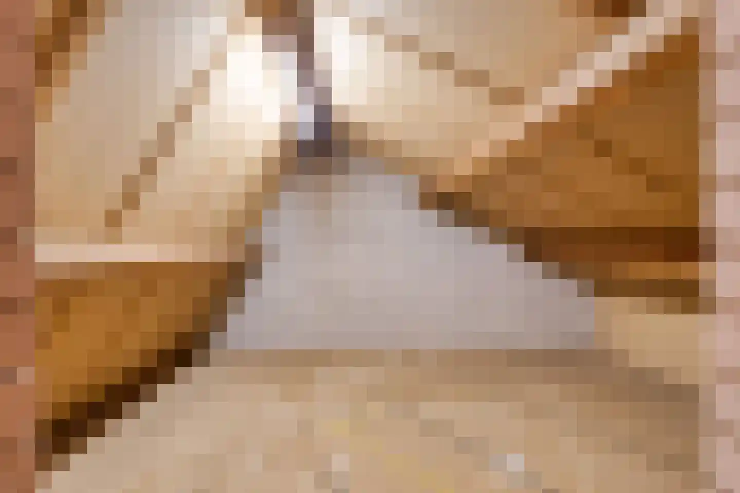 Baanderheer 8 Maasland thumbnail 57
