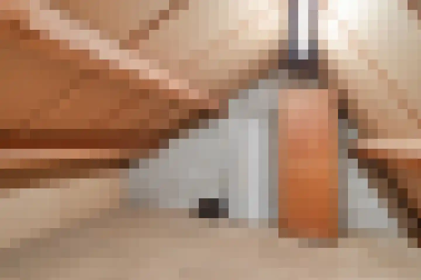 Baanderheer 8 Maasland thumbnail 58