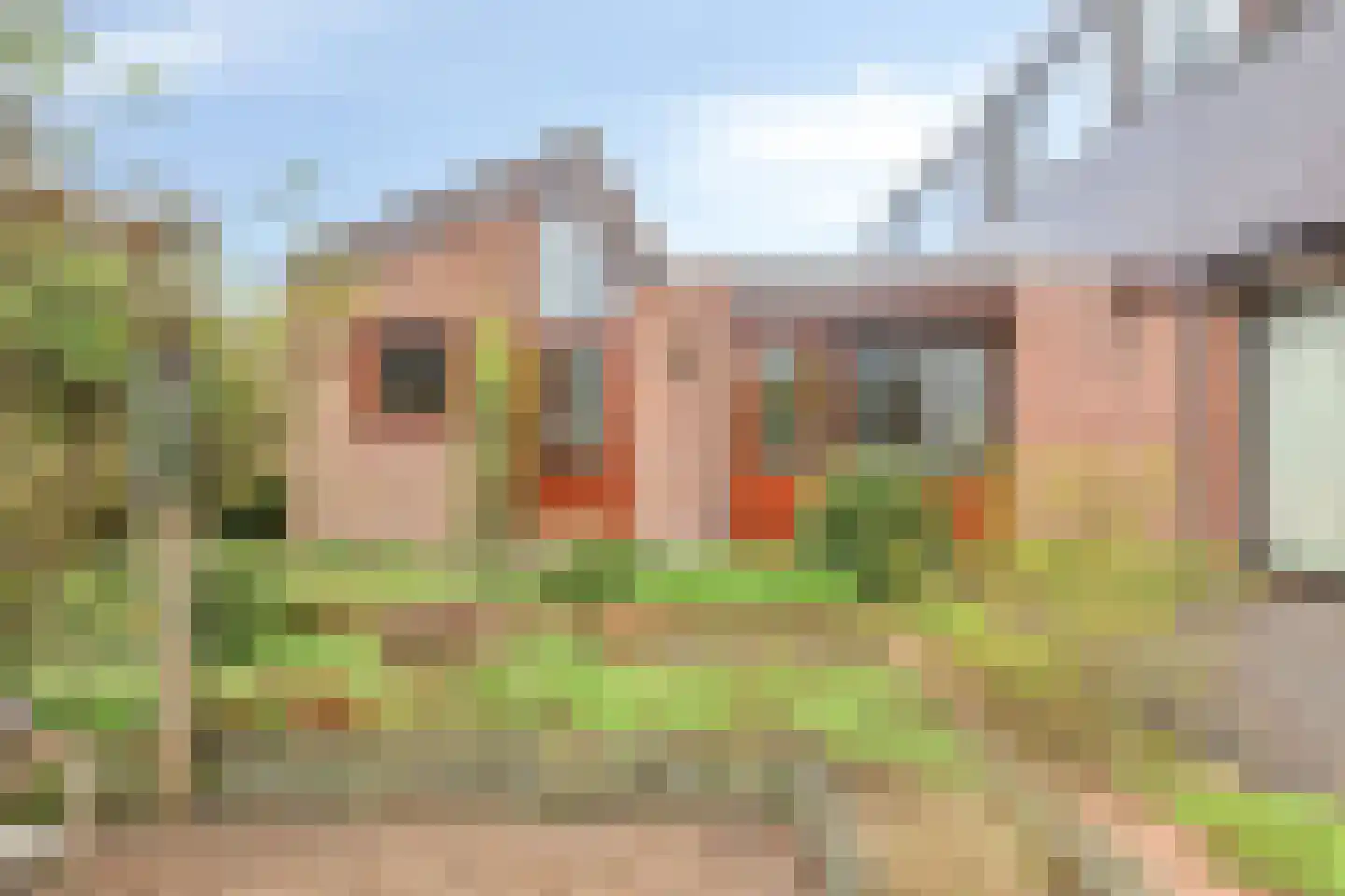 Baanderheer 8 Maasland thumbnail 60