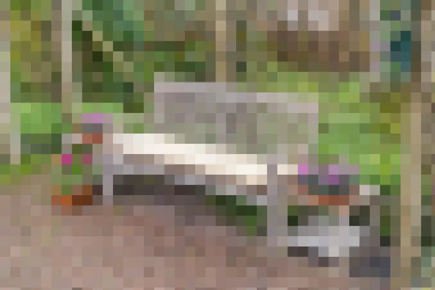 Baanderheer 8 Maasland thumbnail 63