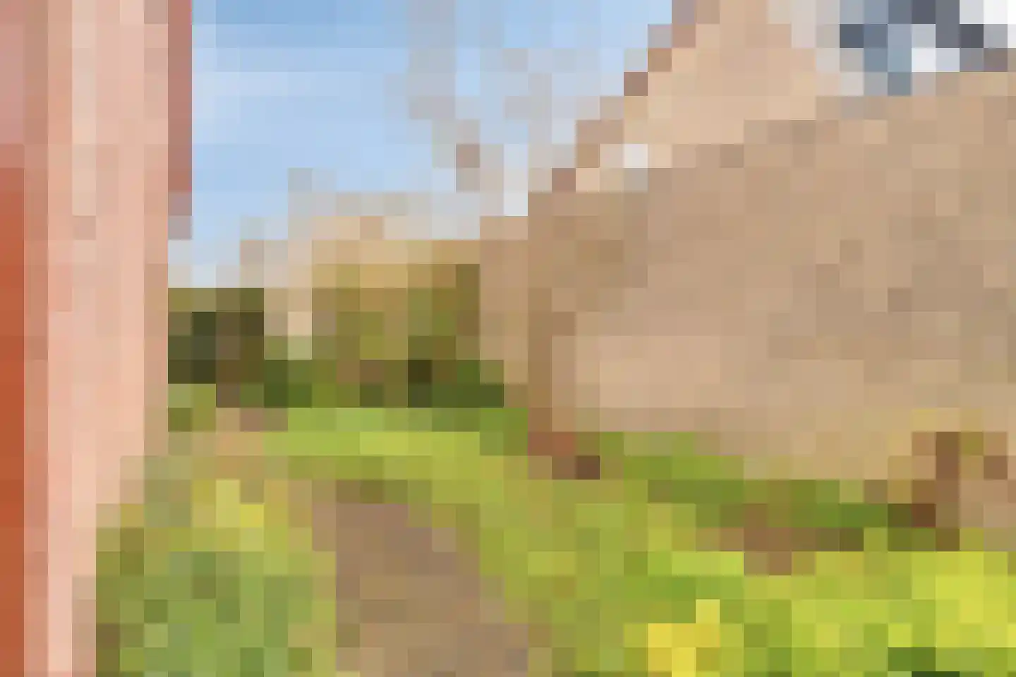 Baanderheer 8 Maasland thumbnail 64