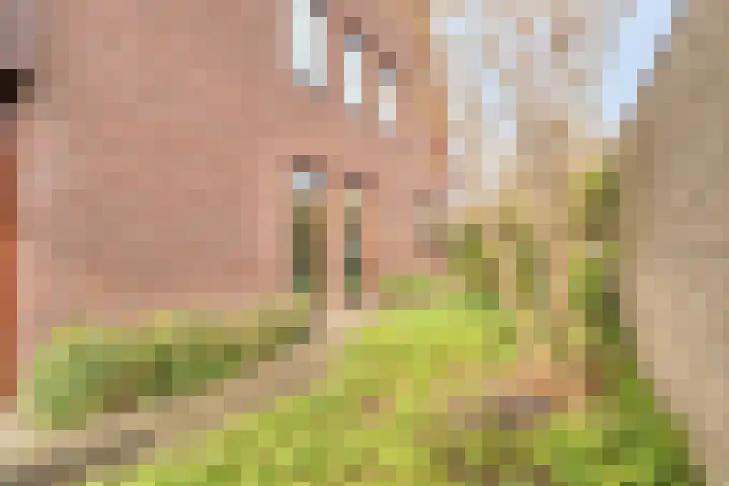 Baanderheer 8 Maasland thumbnail 65