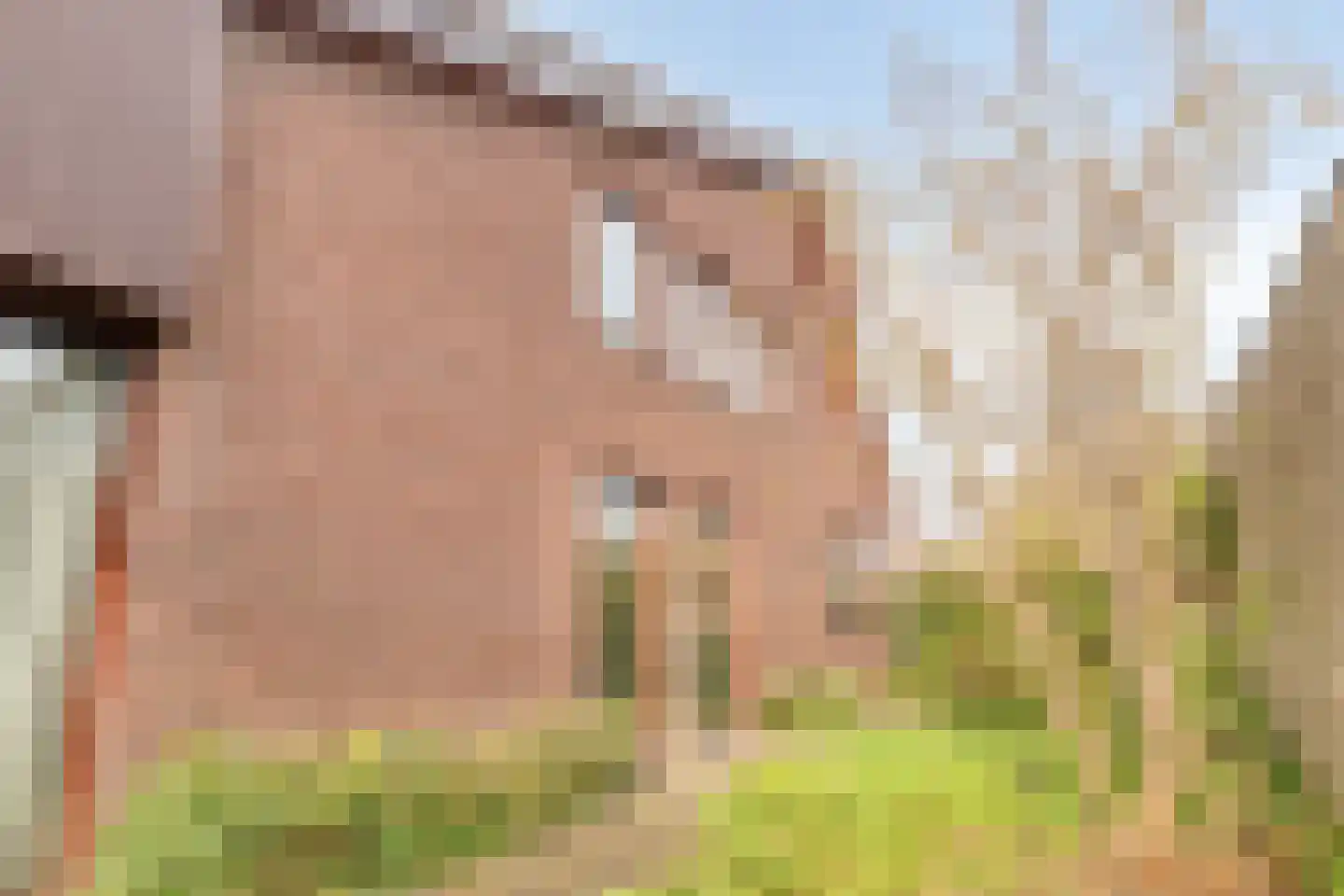 Baanderheer 8 Maasland thumbnail 66