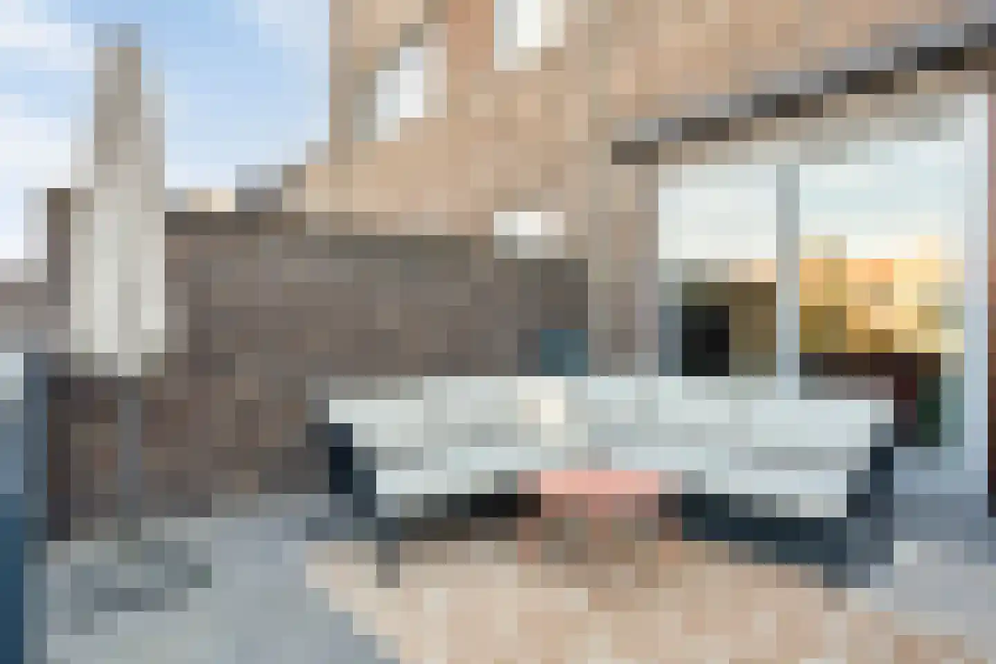 Baanderherenweg 83 Boxtel thumbnail 37