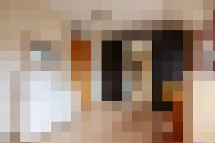 Baanderheugte 46 Assen thumbnail 18