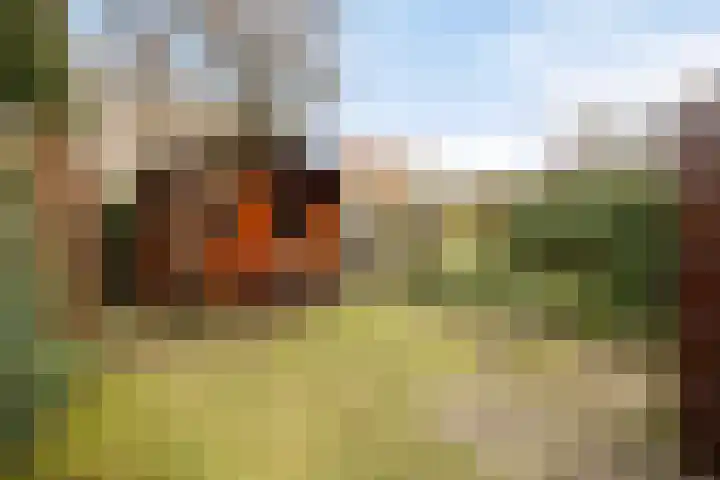 Baanderheugte 46 Assen thumbnail 26