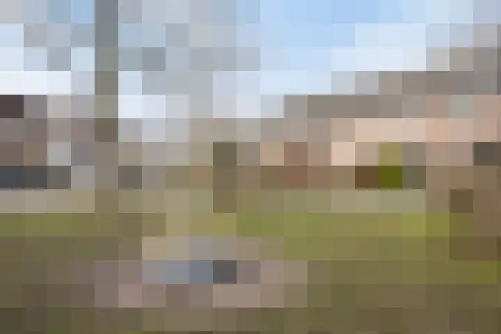 Baanderheugte 46 Assen thumbnail 29