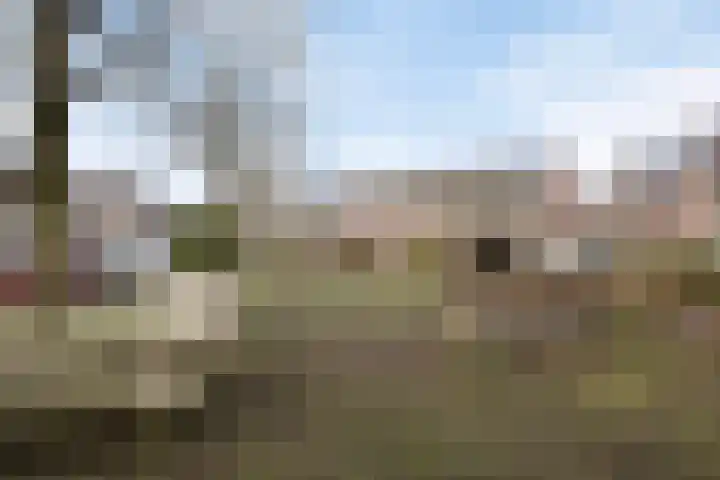 Baanderheugte 46 Assen thumbnail 30