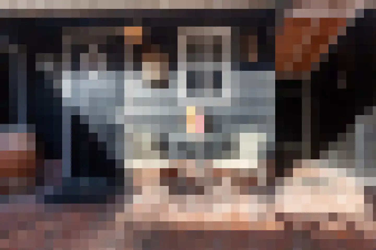 Baandersstraat 20 Alblasserdam thumbnail 30