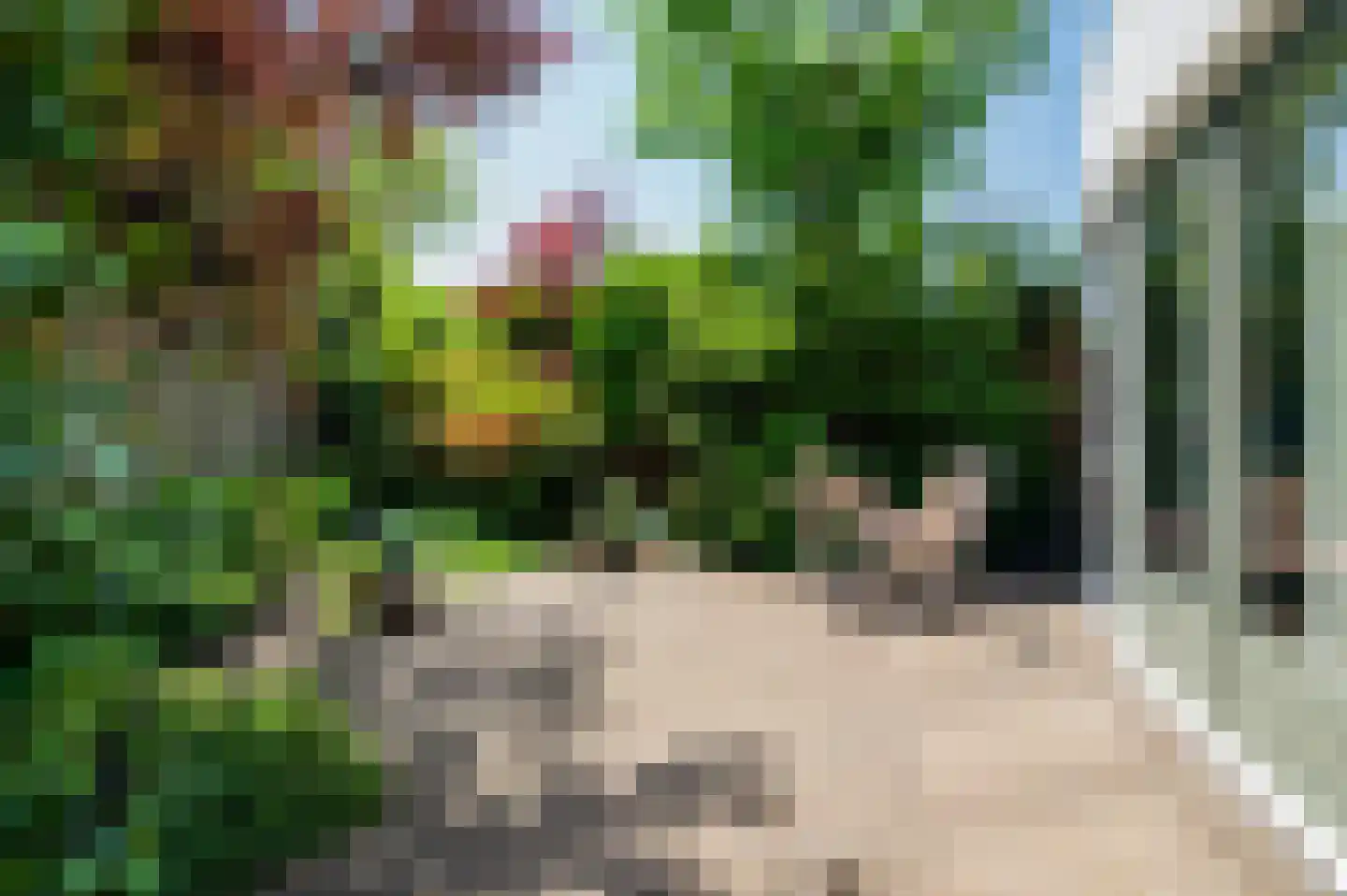 Baandersweg 13 Deventer thumbnail 29