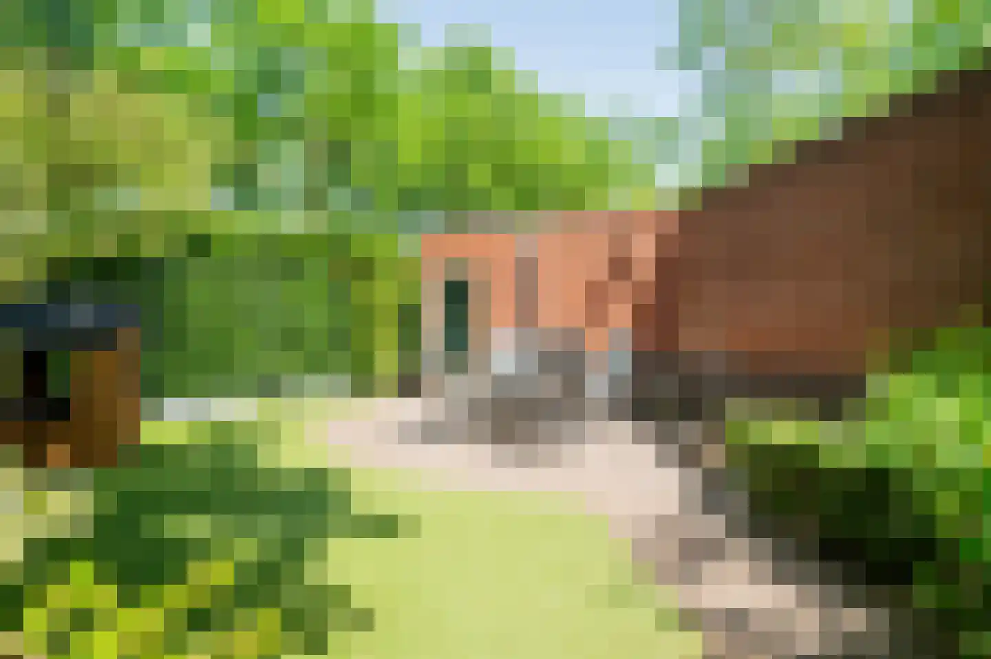 Baandersweg 13 Deventer thumbnail 30