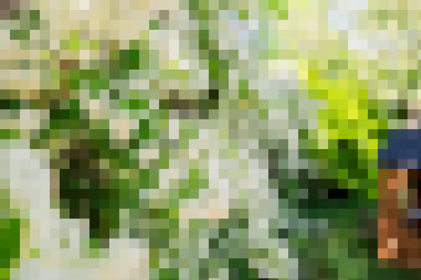 Baandersweg 13 Deventer thumbnail 33