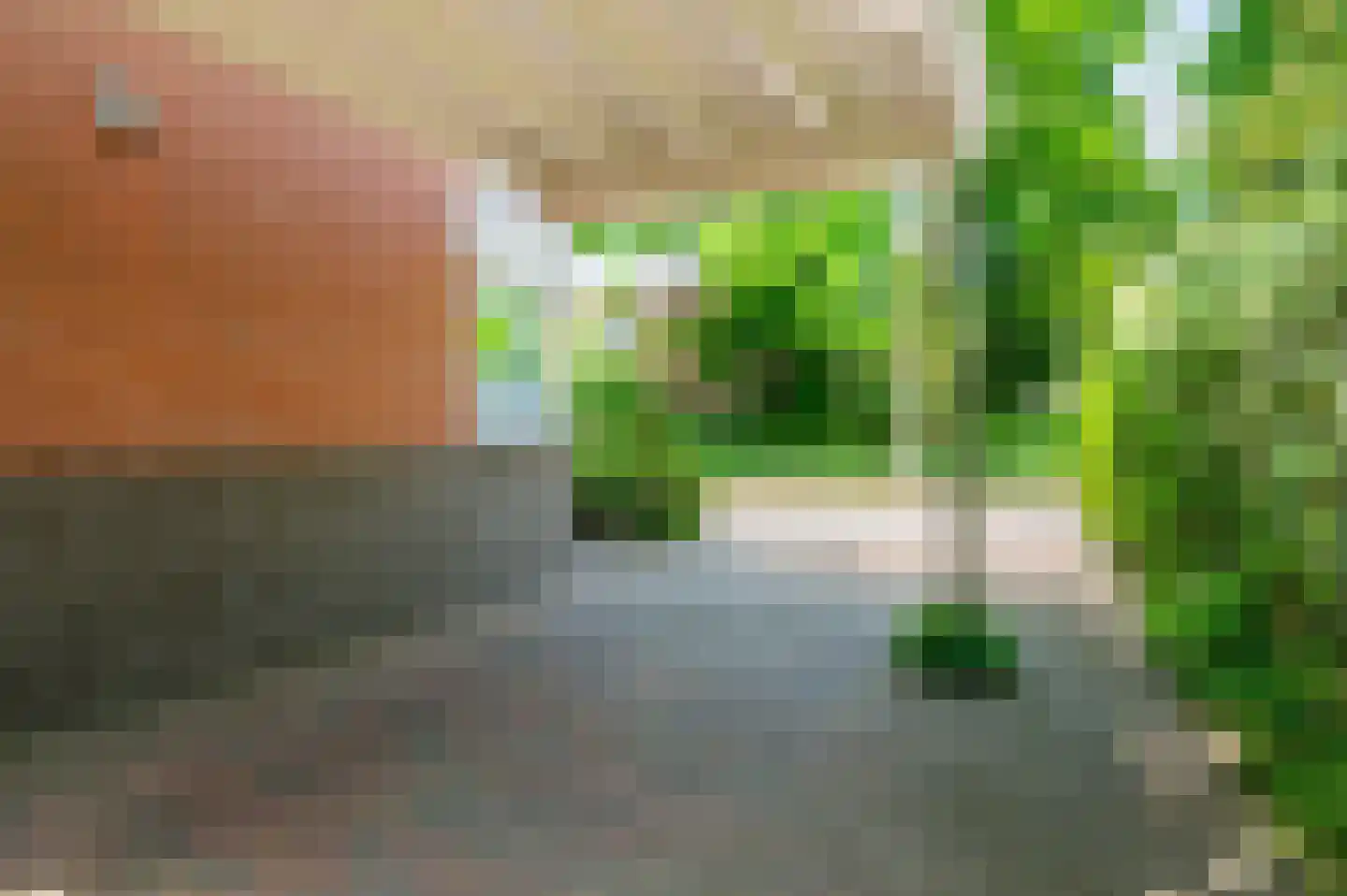 Baandersweg 13 Deventer thumbnail 34