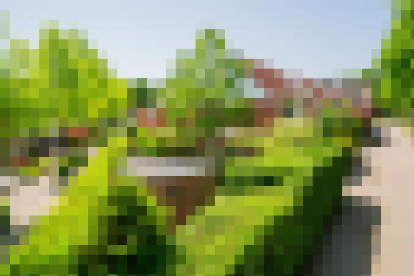 Baandersweg 13 Deventer thumbnail 36