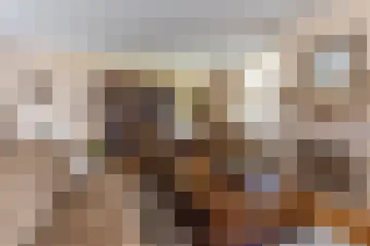 Baandert 2 Sittard thumbnail 10