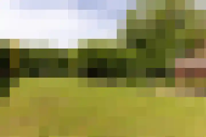Baandert 2 Sittard thumbnail 29