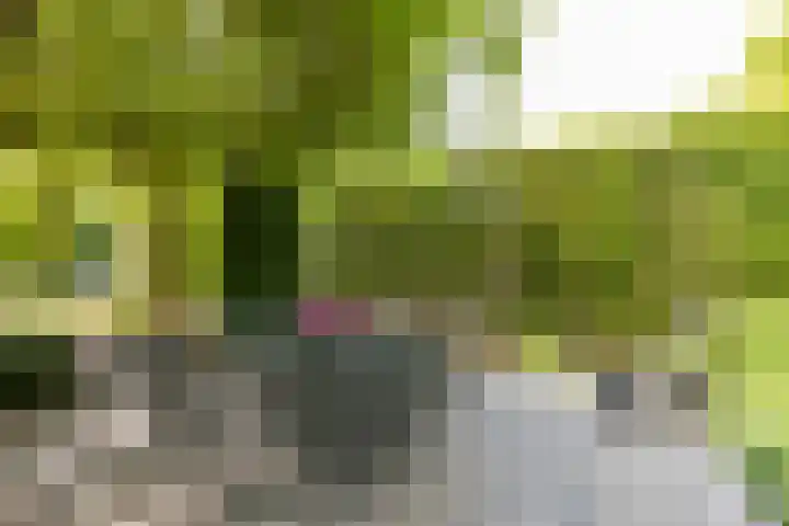 Baandert 2 Sittard thumbnail 32