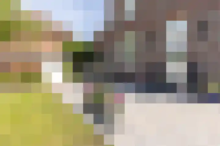 Baandert 2 Sittard thumbnail 40