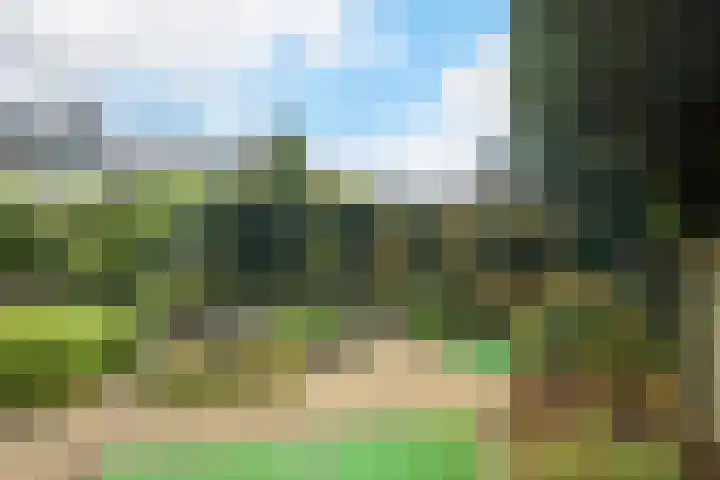 Baandert 2 Sittard thumbnail 49