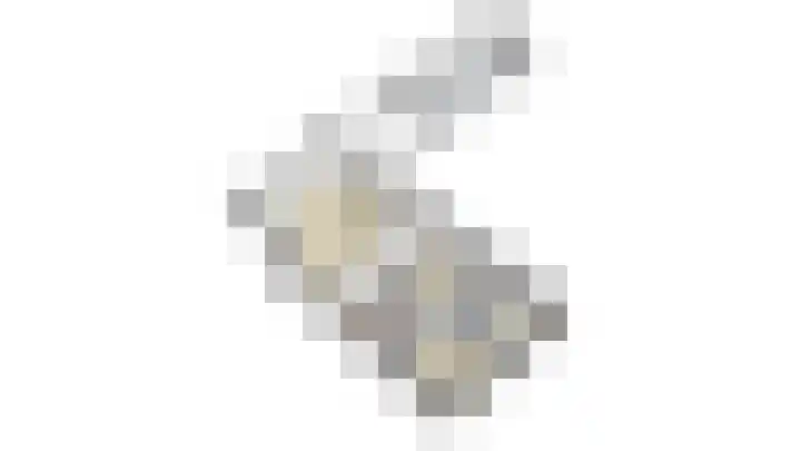 Baandert 2 Sittard thumbnail 66