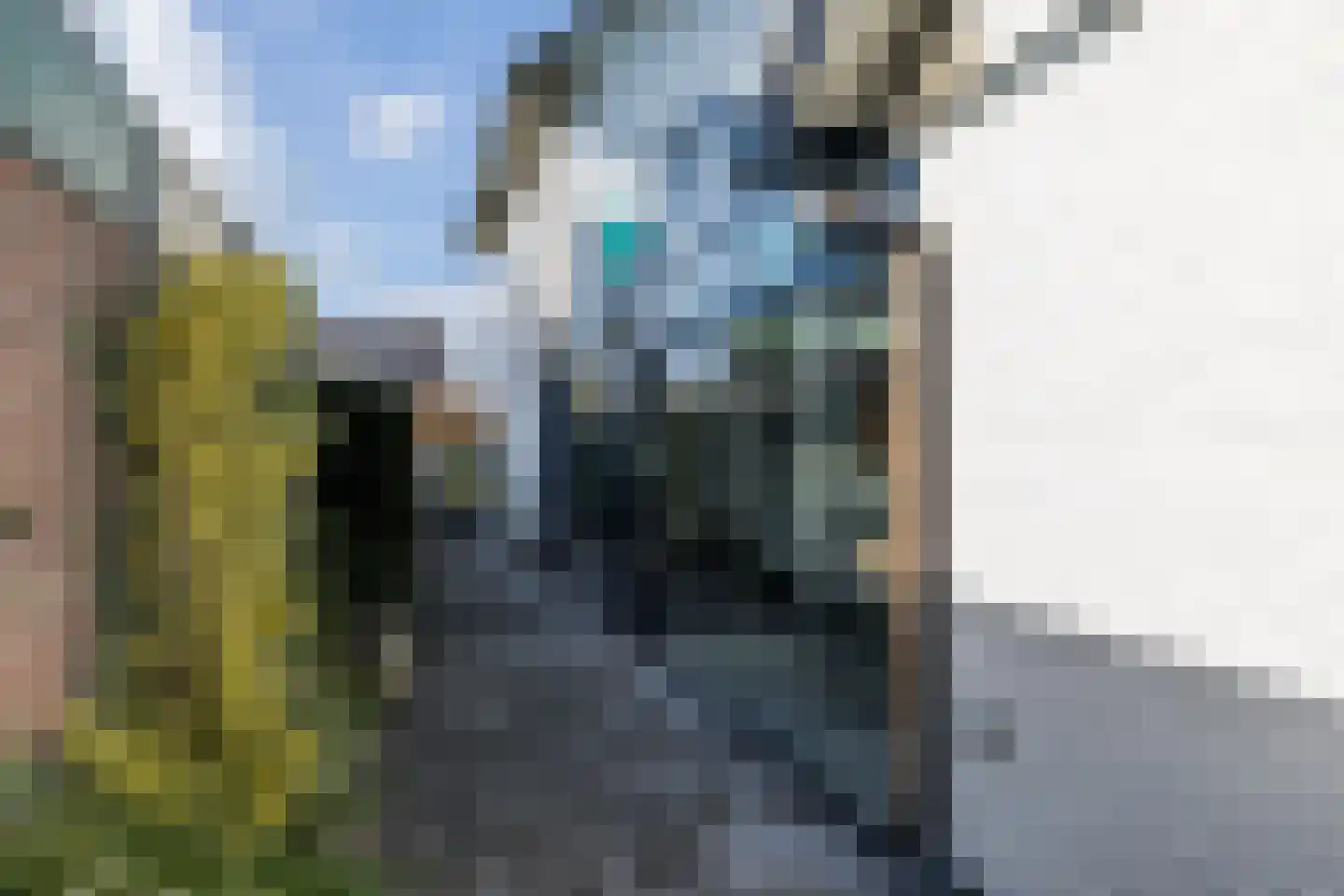Baandert 29 Sittard thumbnail 38
