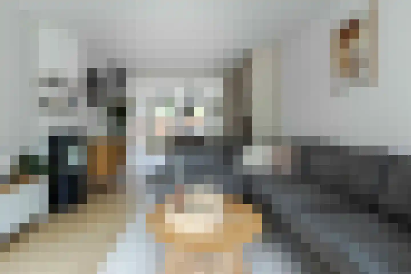 Baanderthoeve 6 Maastricht thumbnail 5