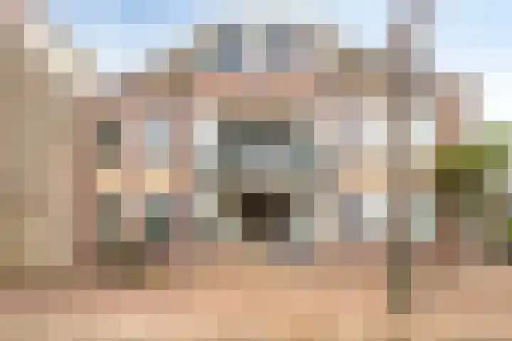 Baandervesting 113 Edam